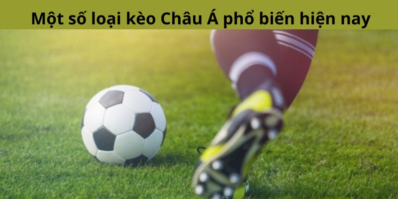 Kèo Châu Á Là Gì? Kiến Thức Cơ Bản Dành Cho Tân Thủ